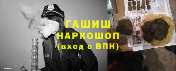 хмурый Абаза