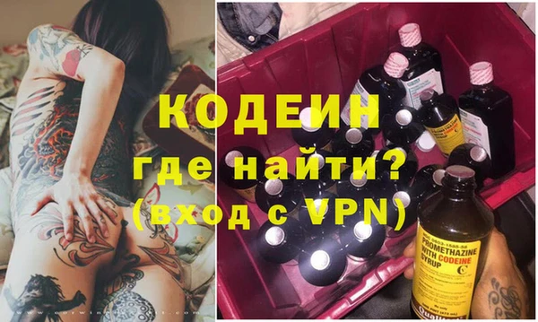 хмурый Абаза