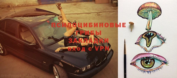 хмурый Абаза