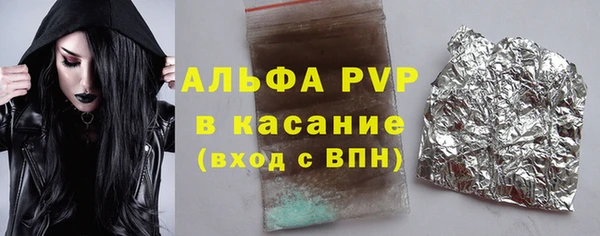 хмурый Абаза