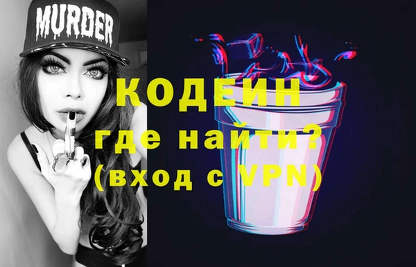 хмурый Абаза